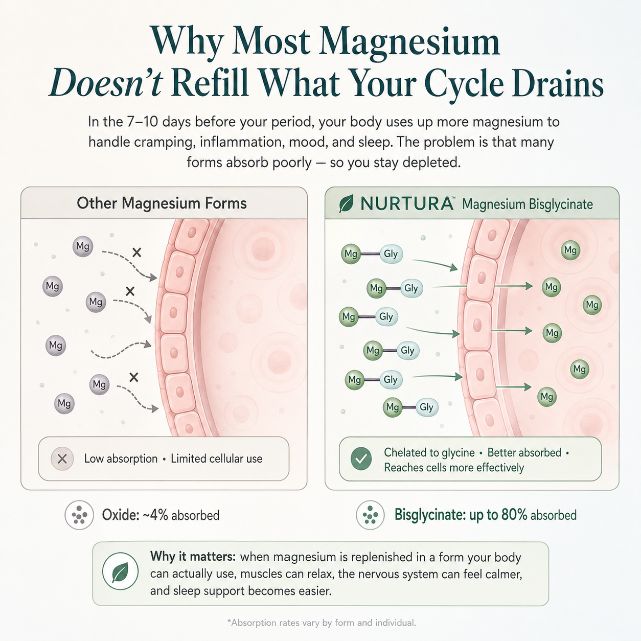 Nurtura Magnesium Bisglycinate Gummies
